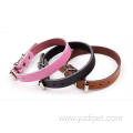 teddy poodle small wholesale pet dog collar